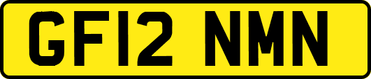 GF12NMN