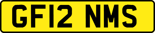GF12NMS