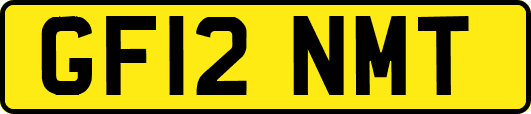 GF12NMT