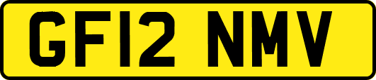 GF12NMV