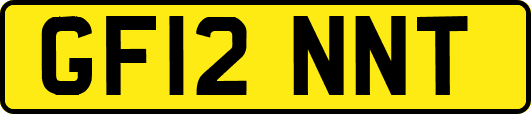 GF12NNT