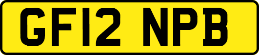GF12NPB