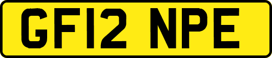 GF12NPE