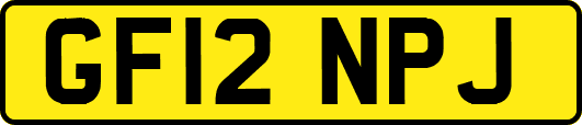 GF12NPJ