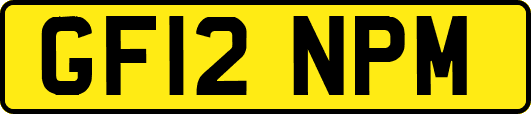 GF12NPM