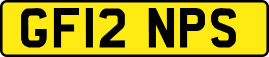 GF12NPS