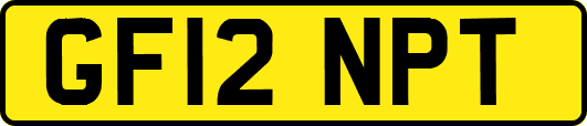 GF12NPT
