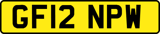 GF12NPW