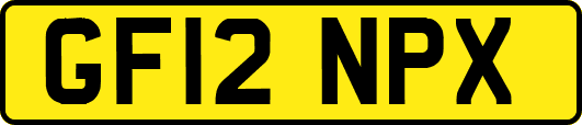 GF12NPX