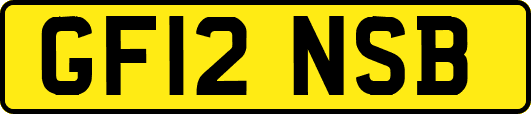 GF12NSB