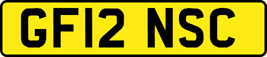 GF12NSC