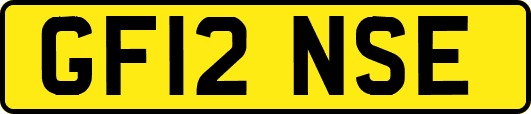 GF12NSE