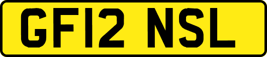 GF12NSL