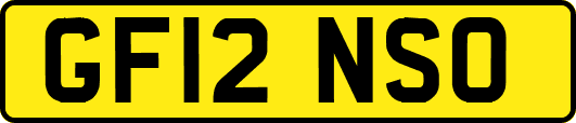 GF12NSO