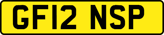 GF12NSP