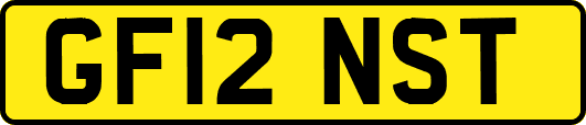 GF12NST
