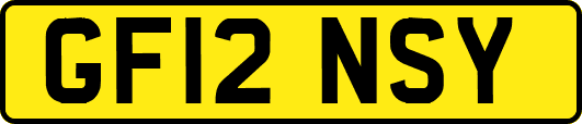 GF12NSY