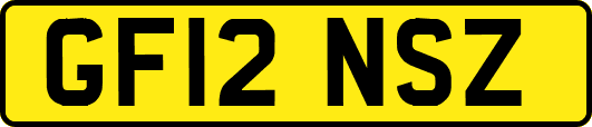 GF12NSZ