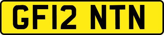GF12NTN