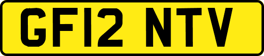 GF12NTV