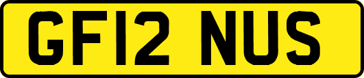 GF12NUS