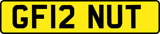 GF12NUT