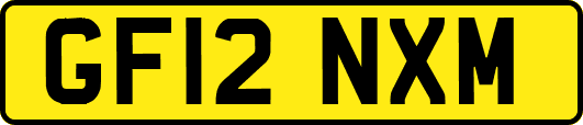 GF12NXM