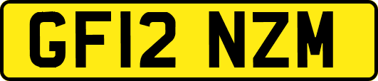 GF12NZM