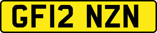 GF12NZN