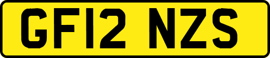 GF12NZS