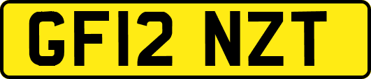 GF12NZT