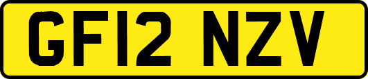 GF12NZV