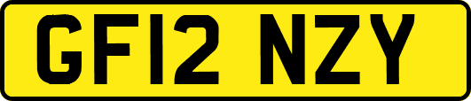 GF12NZY