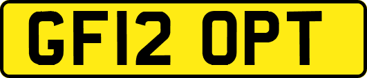GF12OPT