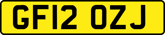 GF12OZJ