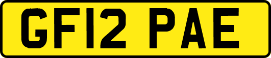 GF12PAE