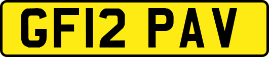 GF12PAV