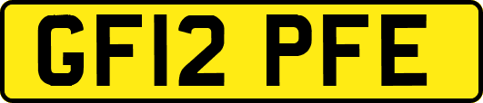 GF12PFE
