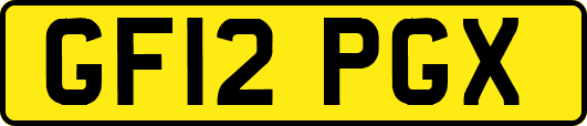 GF12PGX