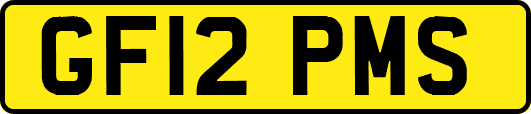 GF12PMS