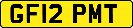 GF12PMT