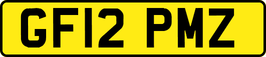 GF12PMZ