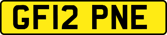GF12PNE