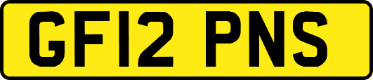 GF12PNS