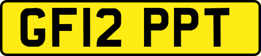 GF12PPT