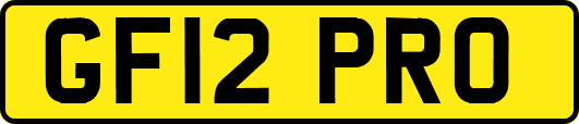 GF12PRO