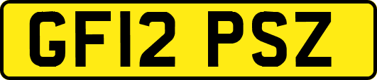 GF12PSZ