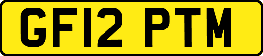 GF12PTM