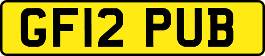 GF12PUB