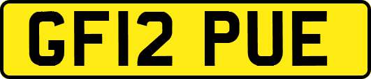 GF12PUE
